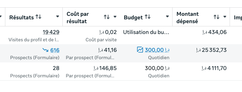 Aperçu de résultats de campagnes immobilières dans Meta Ads Manager